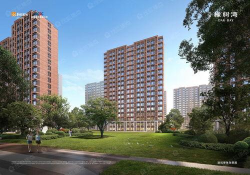 北清橡树湾爆料案件最新,揭秘豪宅区惊悚真相